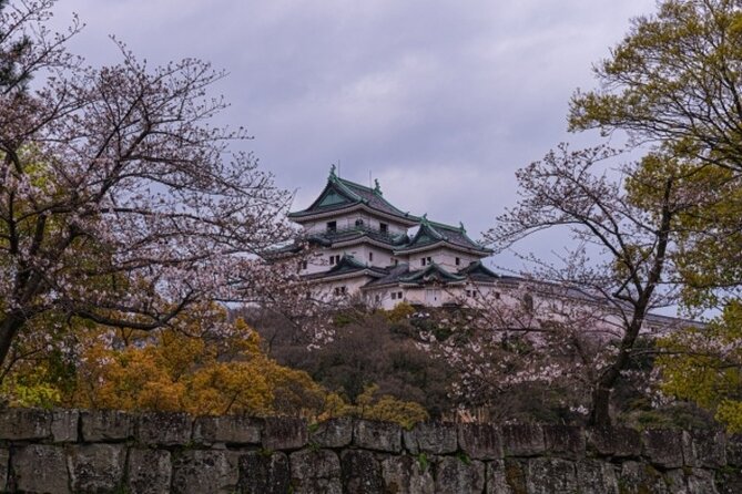 Wakayama Castle and Kuroshio Market 1 Day Tour - Itinerary Overview
