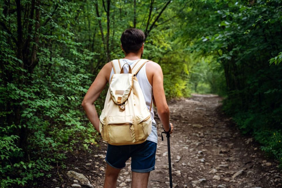 Walk to the Big Rock in Cantareira State Park