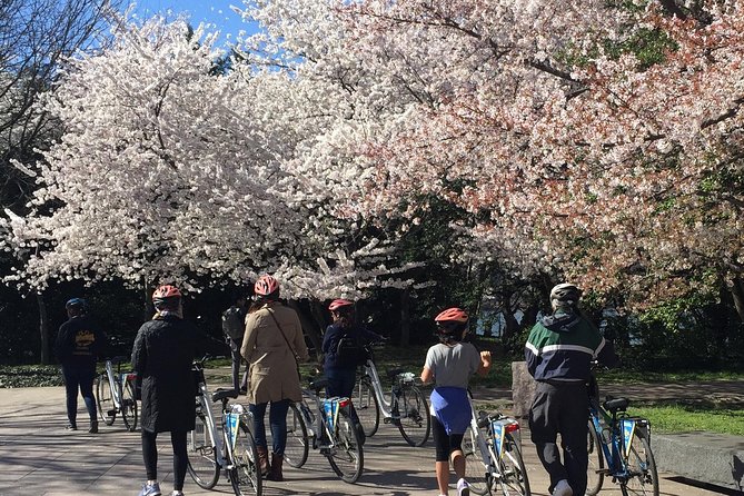 Washington DC Cherry Blossoms By Bike Tour - Tour Experience Feedback