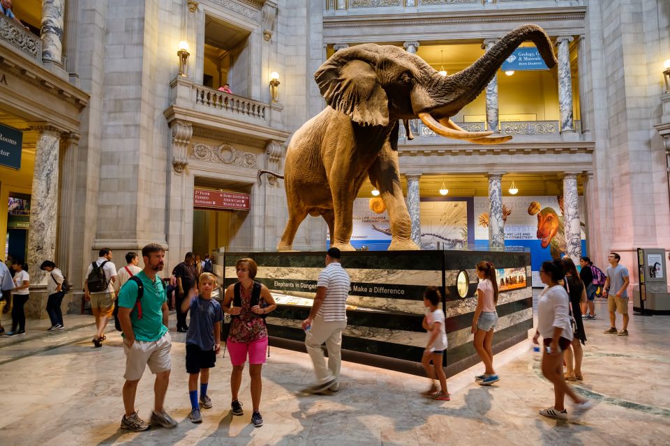 Washington DC: Museum of Natural History Private Guided Tour - Booking Details