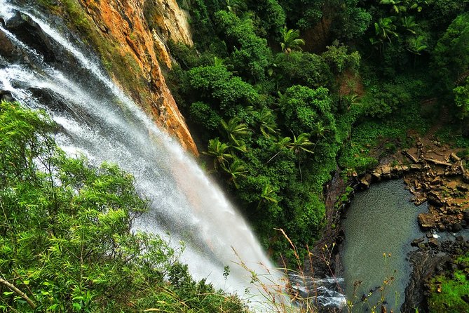 Waterfalls & Rainforest Tour: Surfers Paradise  – Gold Coast