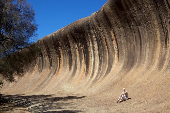 Wave Rock, York, Wildflowers, and Aboriginal Cultural Day Tour From Perth