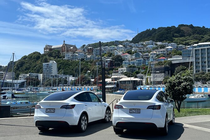 Wellington Half Day Private Tour in Electric Tesla SUV