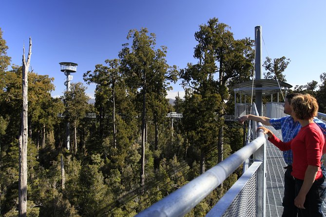 West Coast Tree Top Walk Experience - Experience Highlights