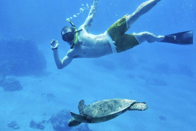 West Maui Half Day Snorkel From Ka'Anapali Beach - Tour Inclusions and Itinerary