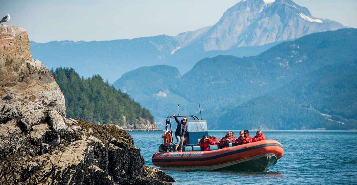 West Vancouver: Howe Sound and Bowen Speedboat Tour - Important Information