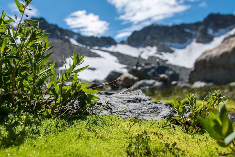 Whistler: Guided Glacier Discovery Hike - Activity Details