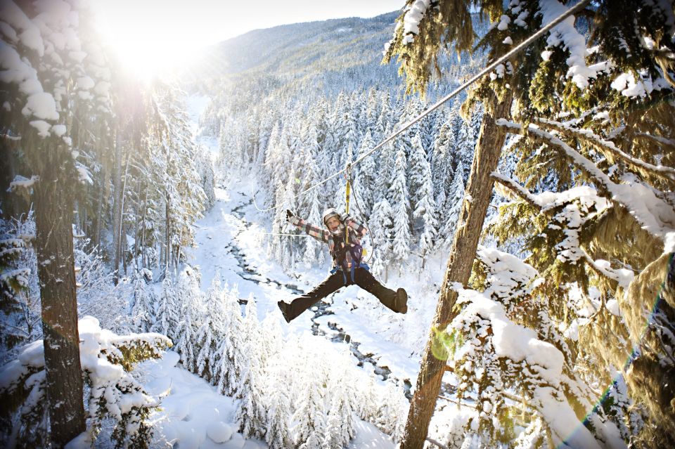 Whistler Zipline Experience: Ziptrek Bear Tour - Experience Highlights