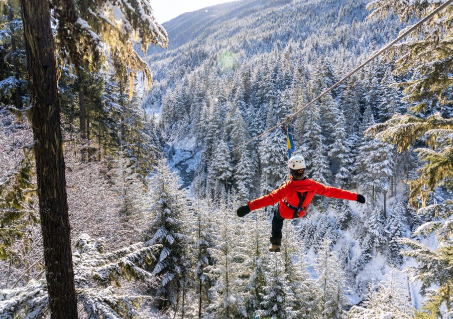 Whistler Zipline Experience: Ziptrek Eagle Tour