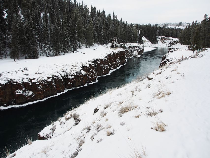 Whitehorse: Half-Day Snowshoeing Tour - Tour Details