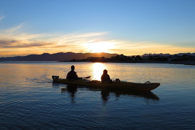 Wildlife Sea Kayaking Tour - Kaikoura - Kayaking Equipment Included