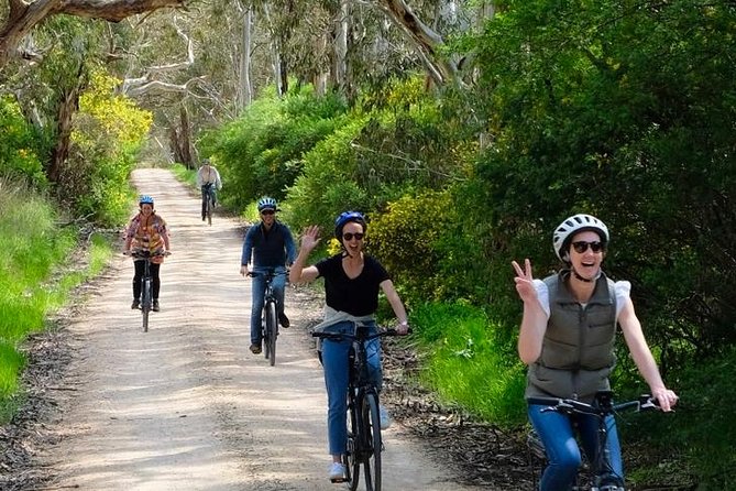 Willunga, Wine and Winding...Down a Country Road by E-Bike  - Mclaren Vale - Tour Highlights