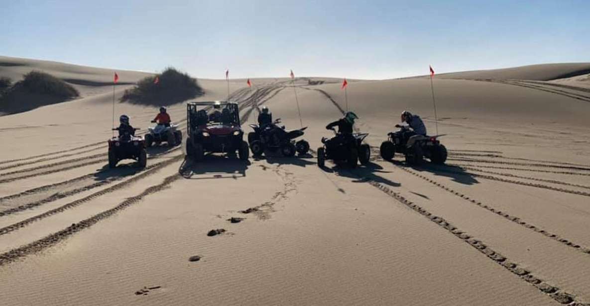 Winchester Bay: ATV and UTV 6-Hour Rental - Experience Highlights