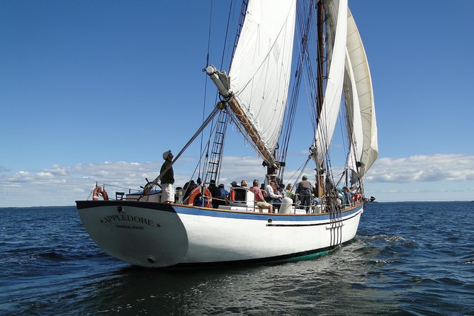 Windjammer Classic Day Sail From Camden, Maine - Experience Details
