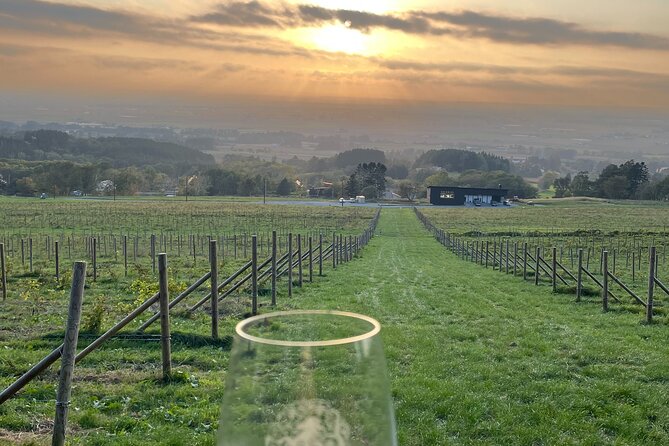 Wine Tasting With Super View on a Private Deck at Maoinooka Park - Booking Information