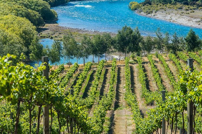 Wine Tour With Wine Tasting From Wanaka - Tour Details