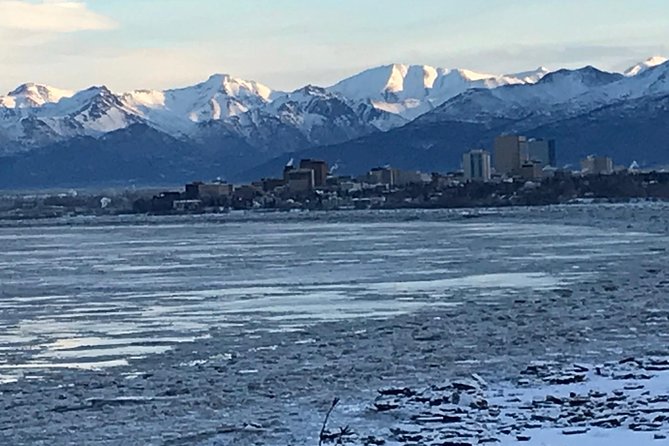 Winter - Anchorage All Around City Tour - Tour Overview