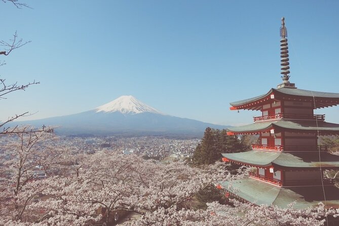 Worlds Most Famous Sight, Mount Fuji, With an English-Speaking Guide