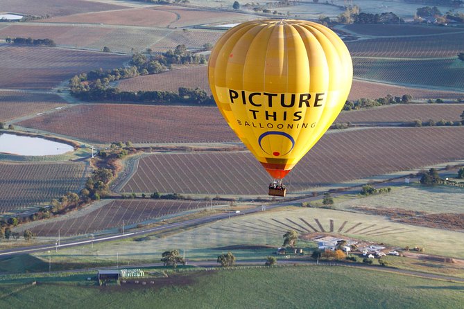 Yarra Valley Sunrise Balloon Flight & Champagne Breakfast - Experience Highlights
