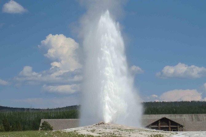 Yellowstone National Park – Full-Day Lower Loop Tour From Jackson