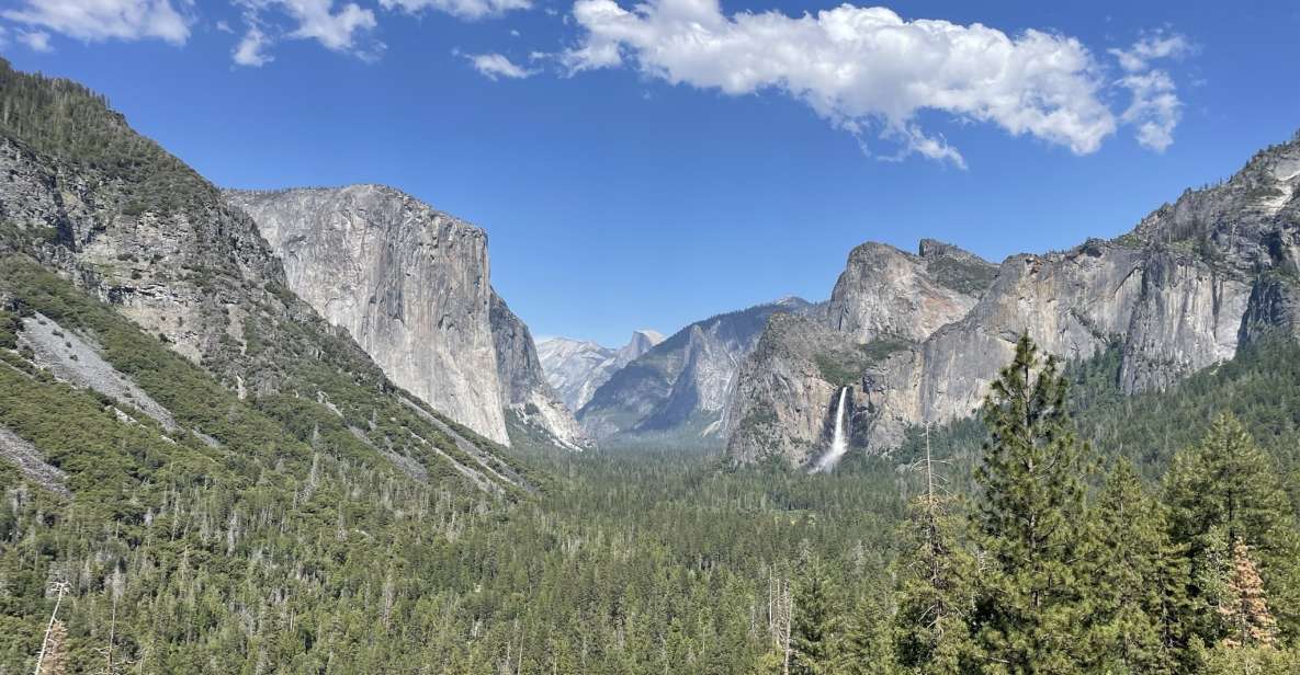 Yosemite, Giant Sequoias, Private Tour From San Francisco