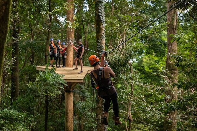 Ziplining Cape Tribulation With Treetops Adventures - Cancellation and Refund Policy