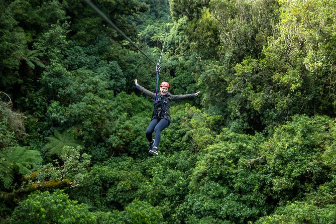 Ziplining Forest Adventure – The Original Canopy Tour Rotorua