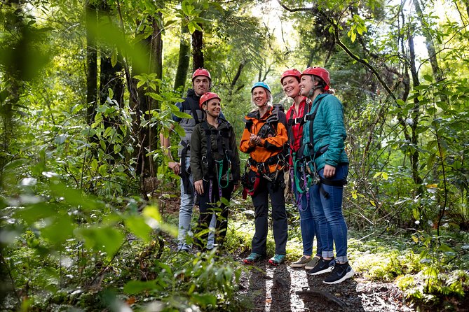 Ziplining Forest Experience - The Ultimate Canopy Tour Rotorua - Experience Highlights