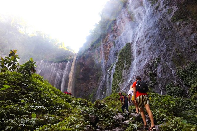 1Day - Tumpak Sewu Waterfall and Goa Tetes Cave Trekking - Key Points
