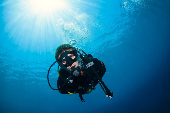 2 Days & 1 Night - 2 Dives in Lembongan/Penida (For Certified Divers) - Key Points