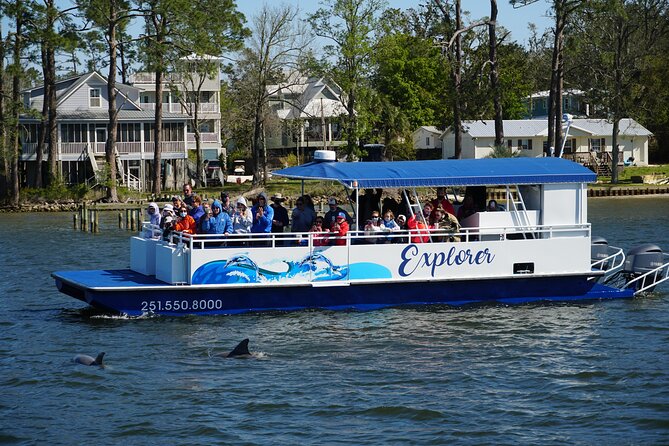 2-Hour Dolphin and Nature Eco Tour From Orange Beach - Key Points