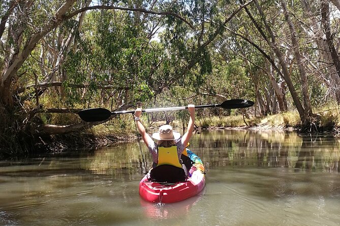 2-Hour Kayaking Experience in Barossa Valley - Key Points