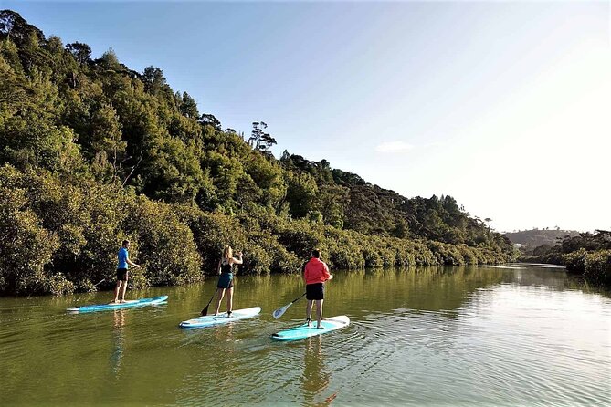 2-Hour Stand-Up Paddle Boarding Tour to Lucas Creek Waterfall - Key Points