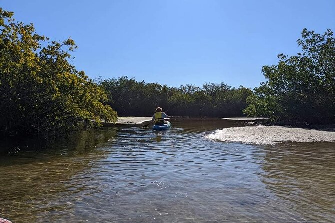 2 Hours Kayak Eco Tour in Tarpon Springs - Key Points