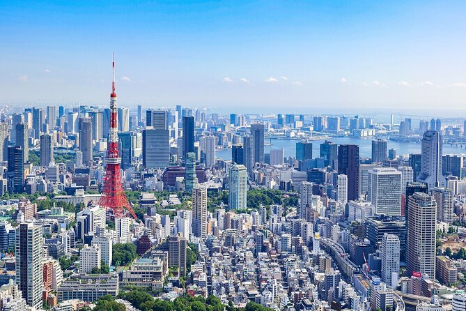 1-Day Tokyo Bus Tour With Lunch - Cancellation Policy