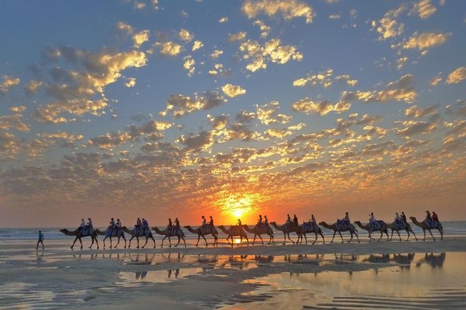 1 Hour Broome Sunset Camel Tour - Inclusions and Extras