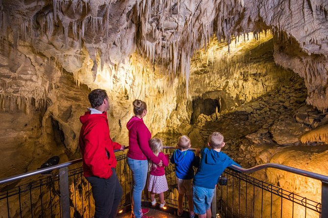 1-Hour Guided Tour of Aranui Cave Waitomo - What to Expect on the Tour