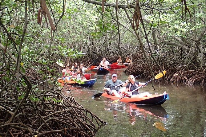 1 Hour Kayaking or Stand Up Paddle Adventure From Lembongan to The Mangrove - Reviews and Feedback