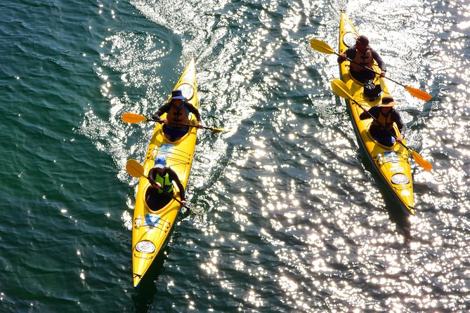 1 Hour Rental Deluxe Double Sea Kayak - Meeting and Pickup Information