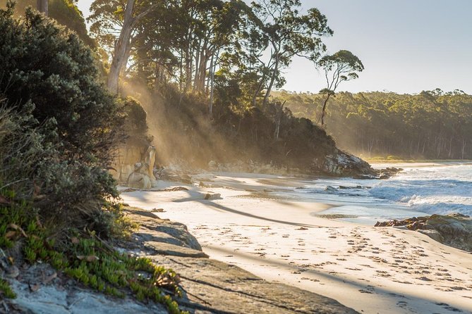 2 Day Bruny Island & Port Arthur Tour From Hobart - Highlights of the Tour