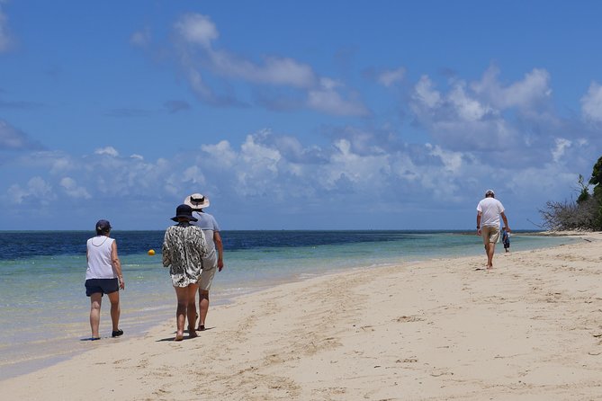 2-Day Great Barrier Reef Combo: Green Island Sailing and Outer Reef Snorkel Cruise - Culinary Delights on Board