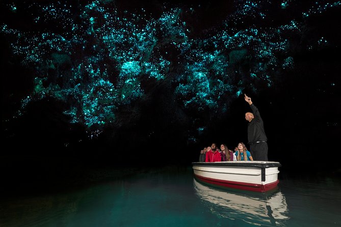 2 Day Rotorua Experience: Waitomo Caves, Maori Culture & Ziplining From Auckland - Waitomo Caves Exploration