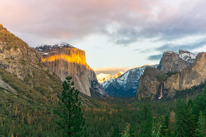 2-Day Yosemite National Park Tour From San Francisco - Customer Reviews and Testimonials