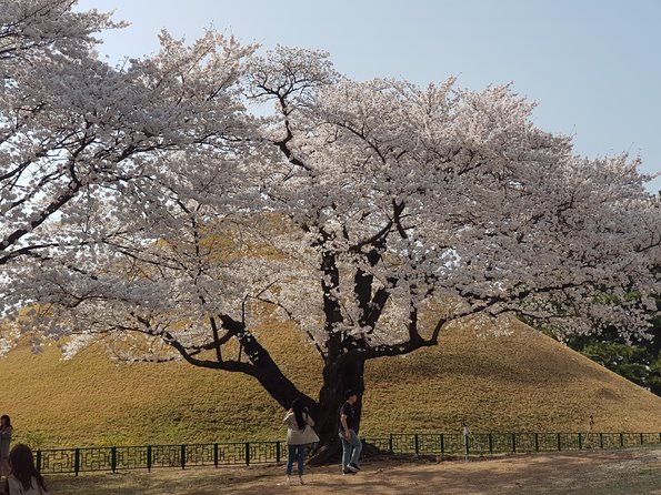 2 Days Gyeongju Private Tour From Seoul and Near Seoul - Accommodation Details