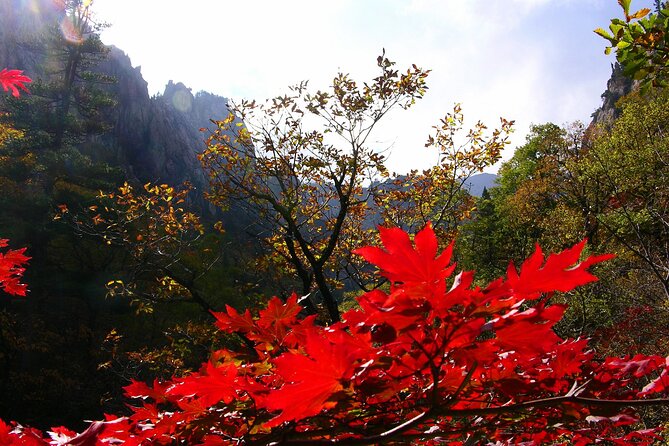 2-days: Mt Seorak, East Sea(Naksansa) & Nami or Ulsanbawi Hiking - Inclusions and Exclusions