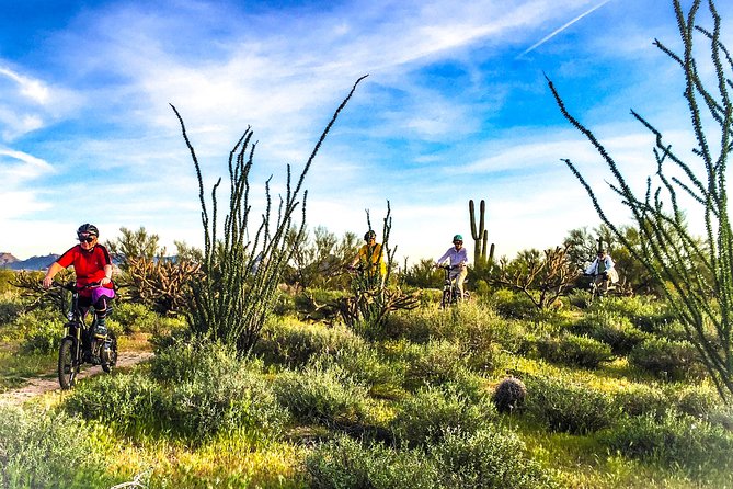 2-Hour Arizona Desert Guided E-Bike Tour - Tour Inclusions