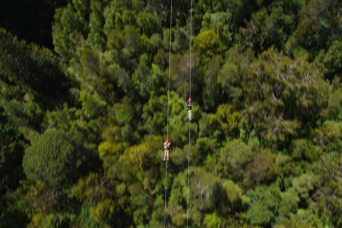 2-Hour Tower Zipline and Walkway Combo Private Guided Activity - Booking Confirmation