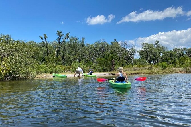 2 Hours Kayak Eco Tour in Tarpon Springs - Tour Highlights