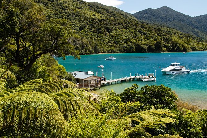 3.5 Hour Marlborough Sounds Delivery Cruise - Reviews and Ratings