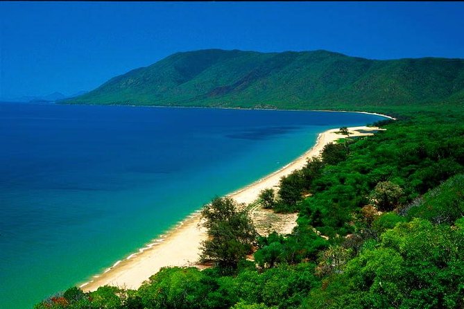 3-Day Best of Cairns Combo: The Daintree Rainforest, Great Barrier Reef, and Kuranda - Specific Tour Experiences Shared